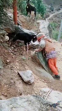 搞笑动图gif图片,搞笑短视频段子15秒