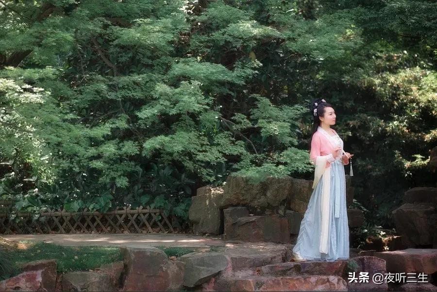 梦里花落知多少夜听,只看梦里花落知多少