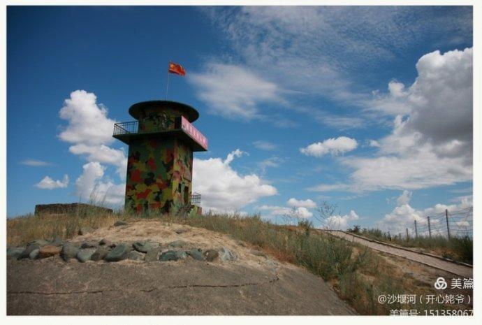 白杨树全文朗读合拍,白杨树文章阅读