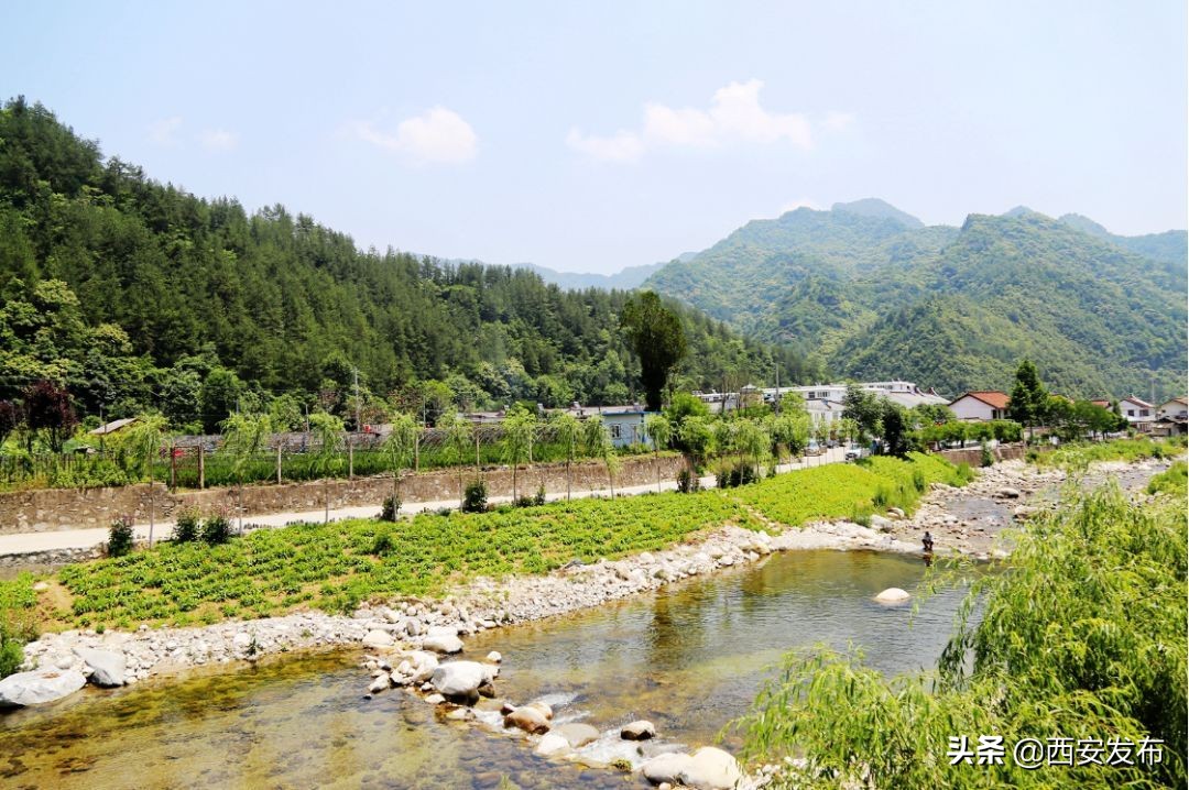 陕西省十大村庄,陕西省11个贫困县名单