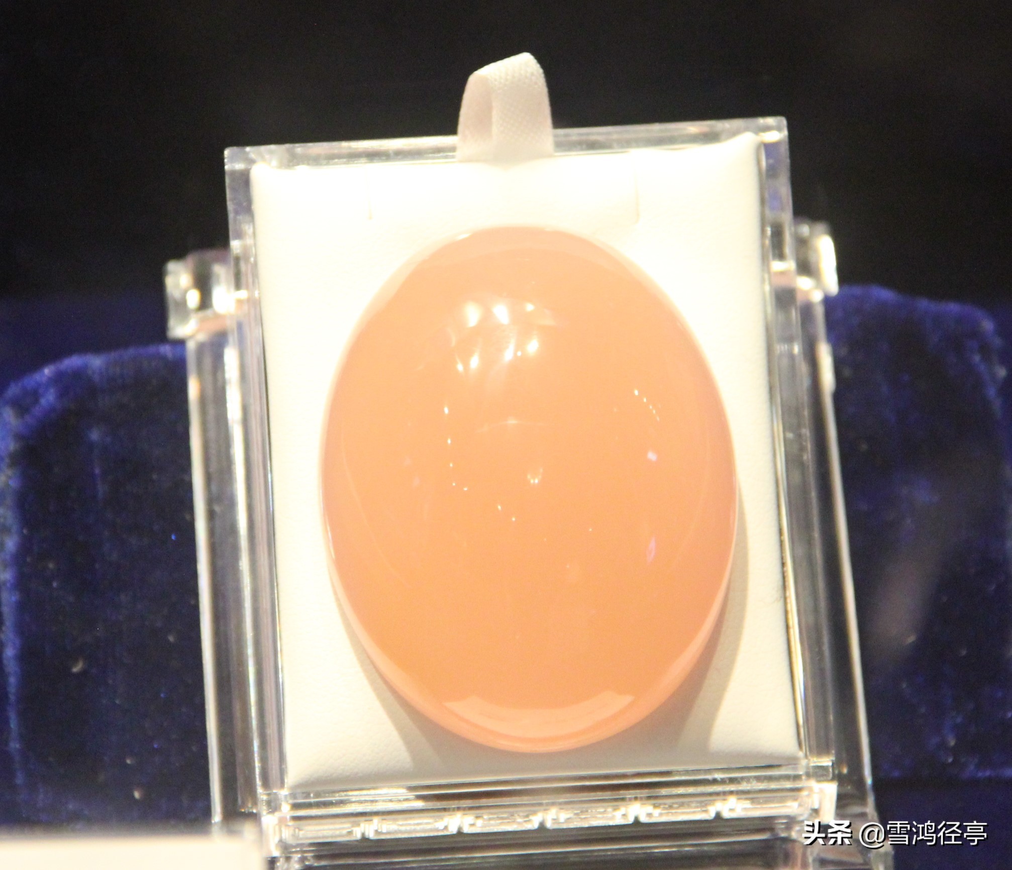 112首诗词中,这些词语您家孩子理解对了吗?(三)