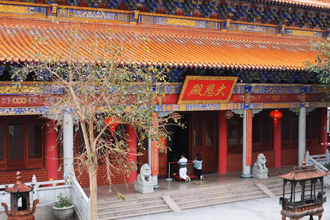 超灵验的姻缘福地!离广州深圳不到一小时,踏青赏花祈福康养首选