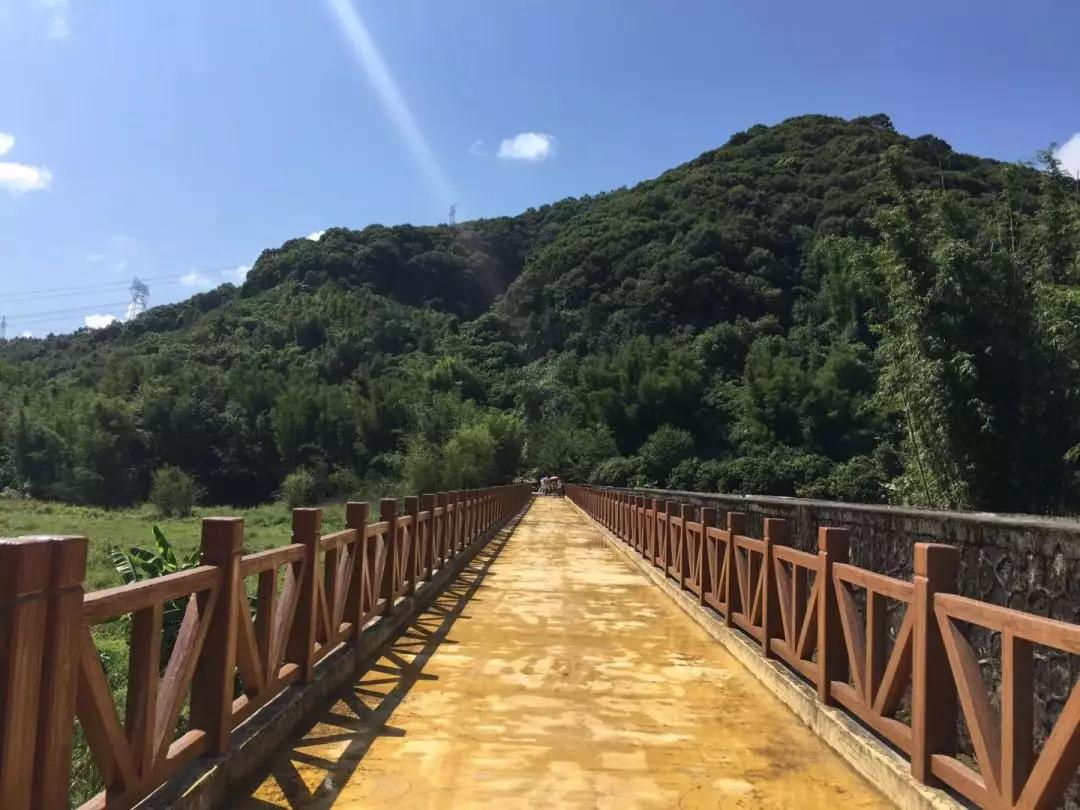 从化区未来5年碧道规划,从化区碧道规划图