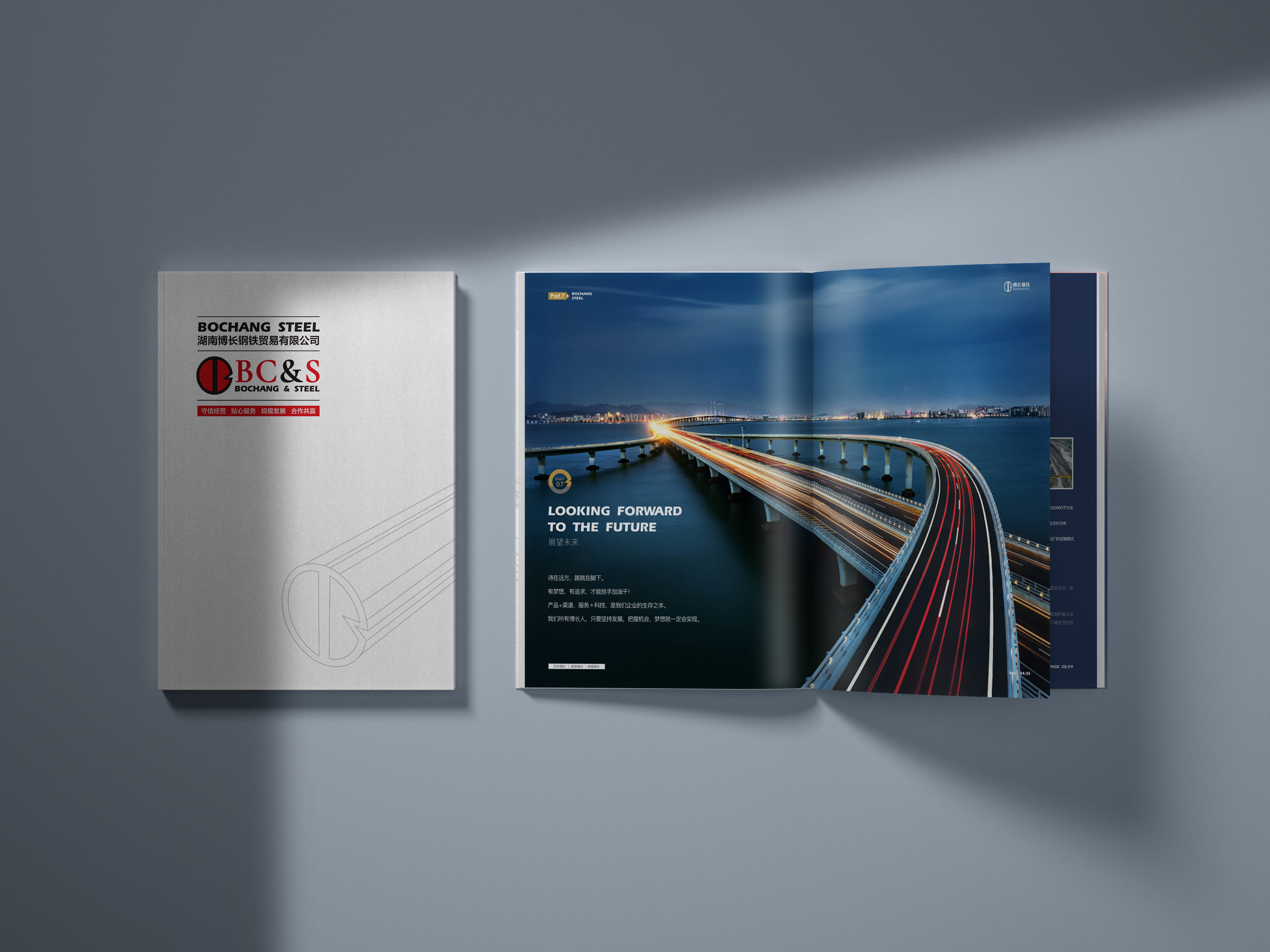 常德博长钢铁贸易有限公司,衡阳博长钢铁贸易有限公司技改