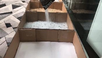 选猫砂防臭,天然矿石猫砂推荐测评