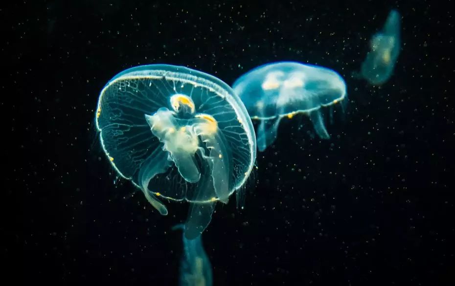 海外游学旅行推荐,游学旅行地点