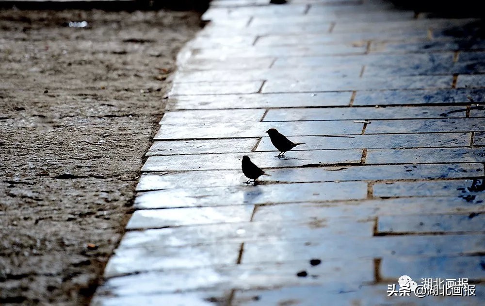 庆阳旅游古城,恩施庆阳坝古街