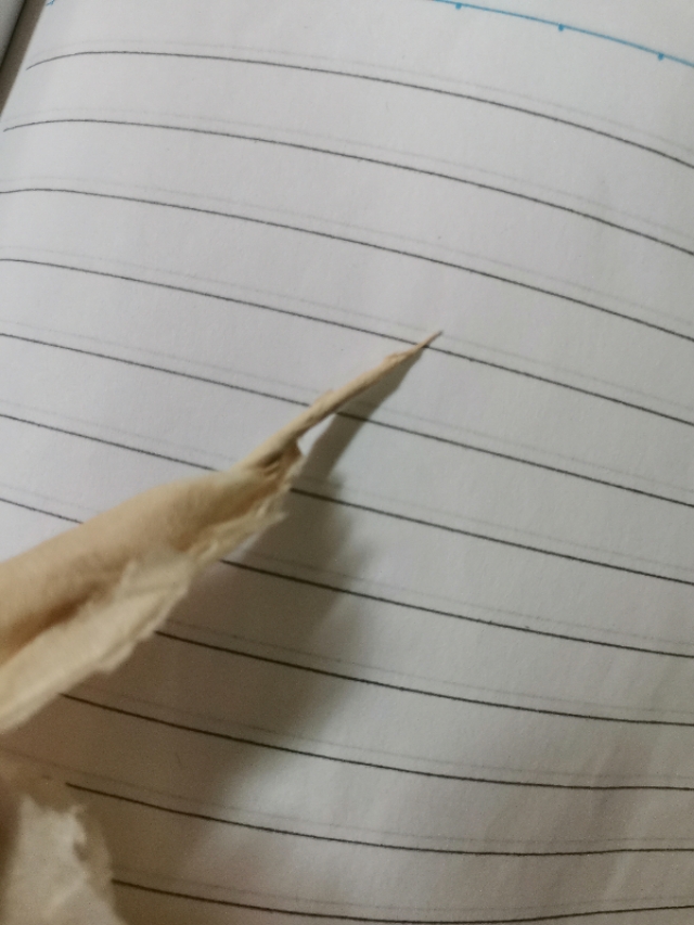 智能手机进水如何处理,智能手机进水后闪屏怎么处理