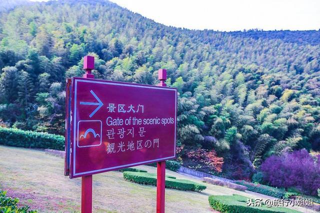 天目湖加南山竹海哪里泡温泉好,天目湖度假秘境享受绝美自然山水