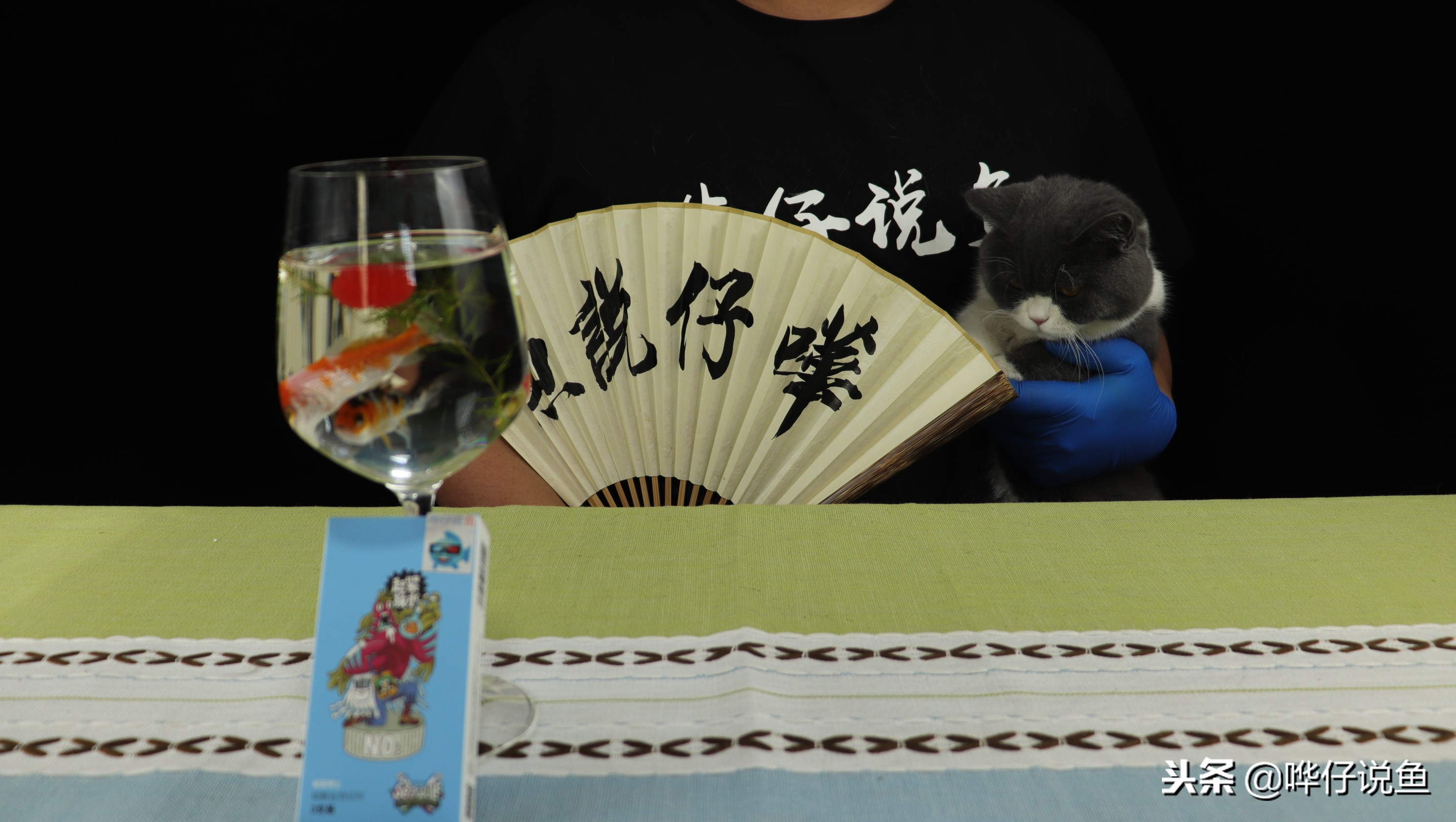 闲置很久的鱼缸怎么处理才能养鱼,闲置鱼缸如何再利用一次