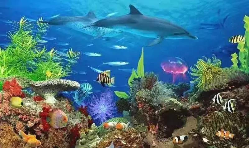 元旦去哪里玩视频,元旦适合去哪玩