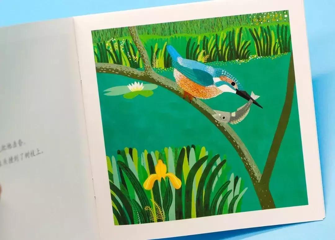 意大利畅销童书,意大利绘本世界十大著名童话