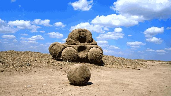 bbc纪录片揭露残忍人类对待动物,bbc动物纪录片造假事件