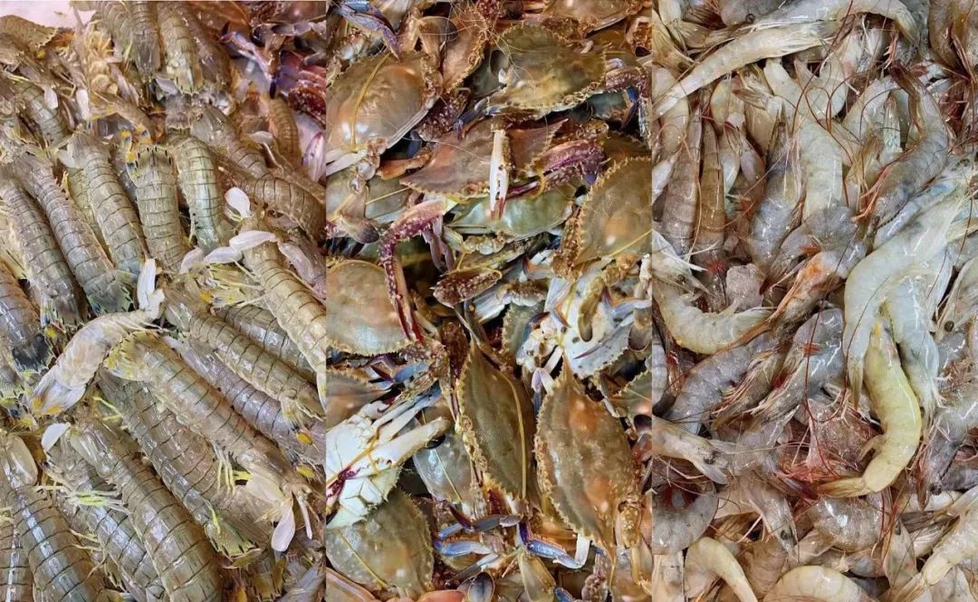 100块钱在长春能吃啥,在长春吃海鲜自助的视频