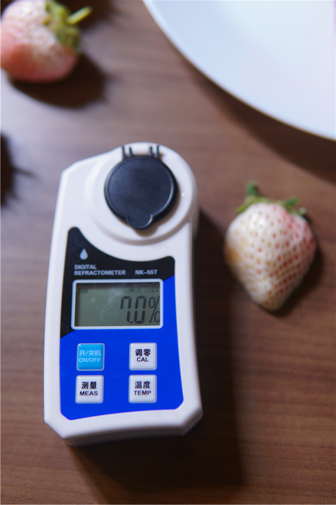 如何在网上买到真草莓,怎么在网上买正宗丹东草莓