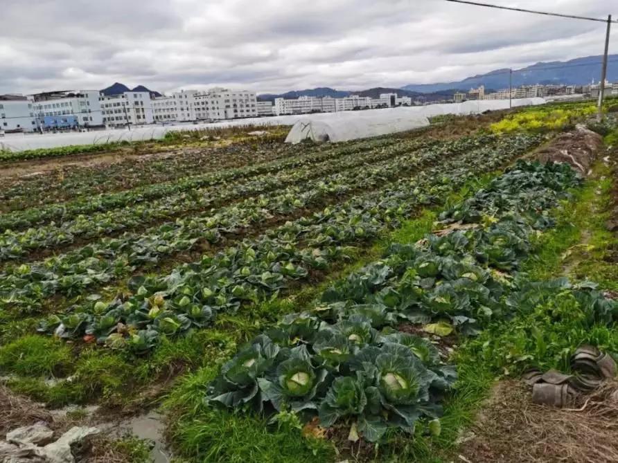 战疫七十二变出版,战疫时刻看中国