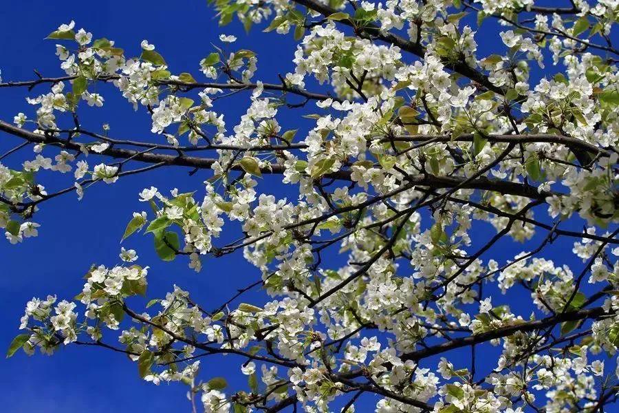 外地人眼中的丰县VS丰县人眼中的丰县