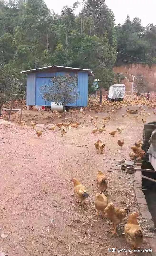 多亏这些宝藏网友，让我笑到免疫力增强