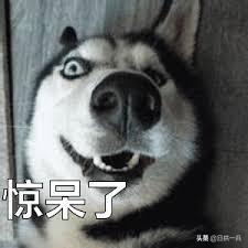 搞定python并行,completablefuture高并发优化