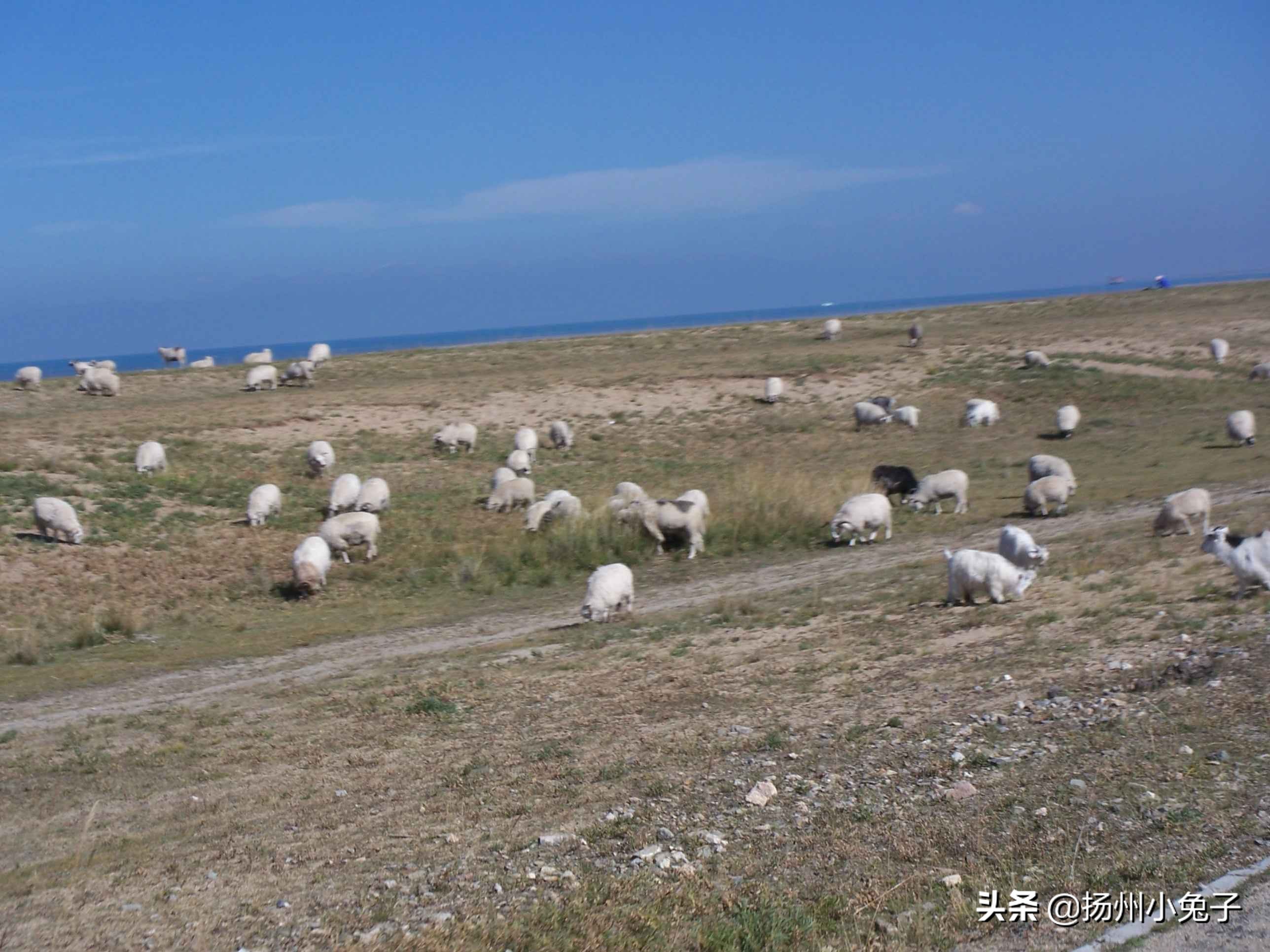 什么力量让水从山顶流下,是什么力量让河流奔腾万丈