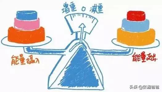 真正有效的减肥产品酵素,有哪些减肥胶囊靠谱