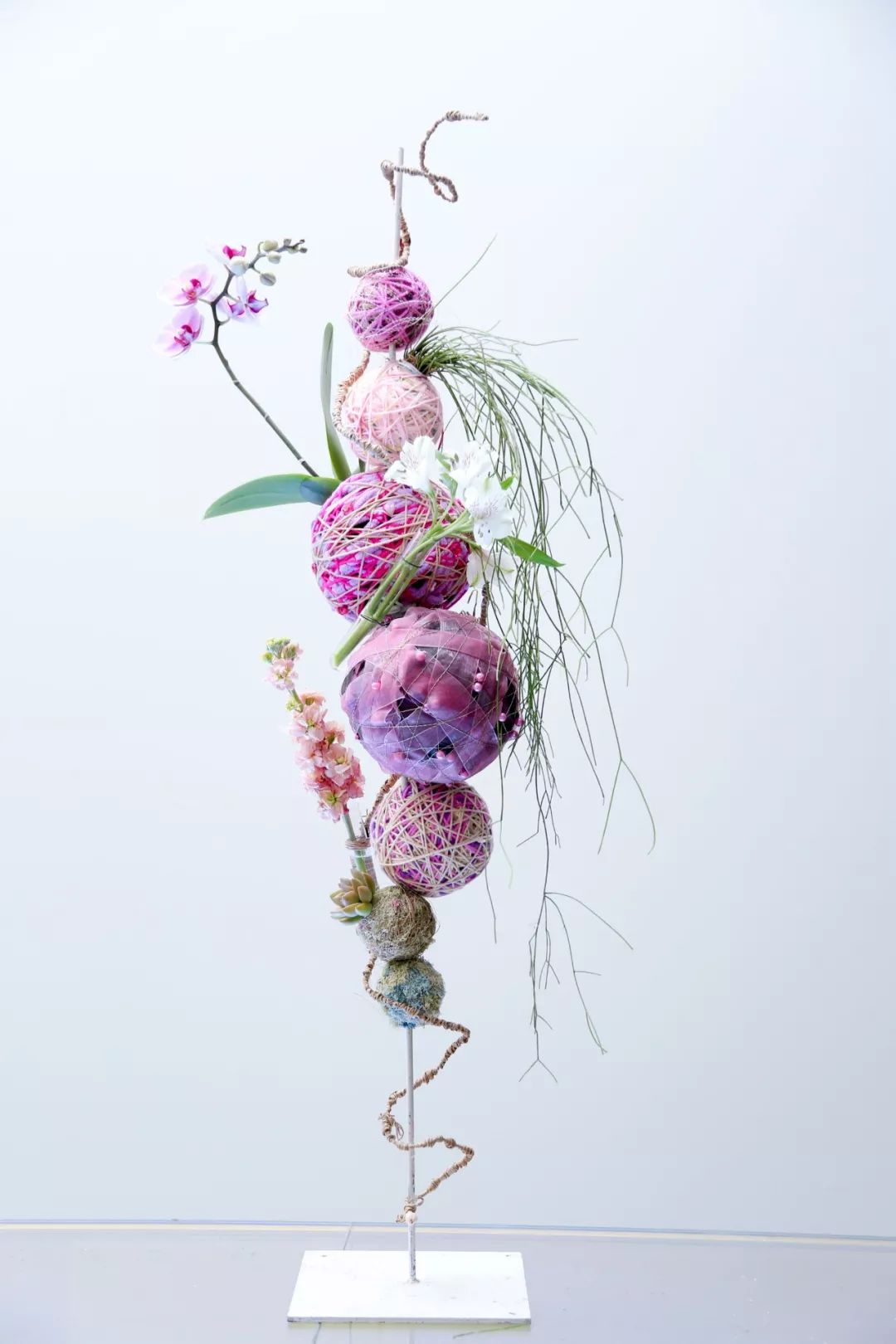 6天,教你用色彩“粉”碎所有不可能