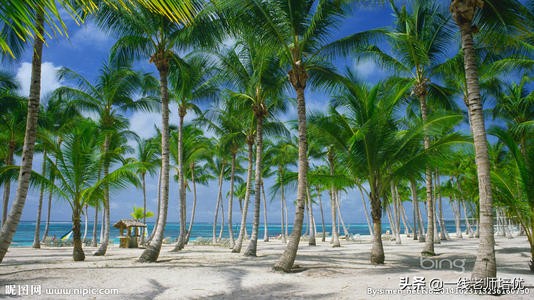 二年级看图写话写人篇技巧,二年级看图写话时间地点人物事件
