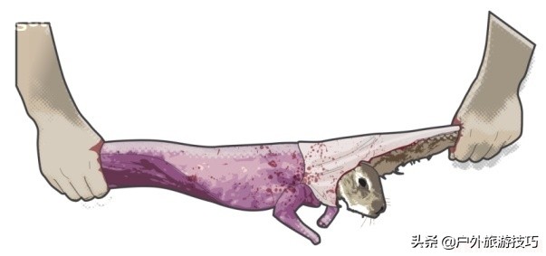 野外生存抓到猎物在哪处理,野外生存简易捕猎的方法