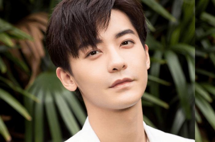 男明星热度指数吴磊,吴磊人气