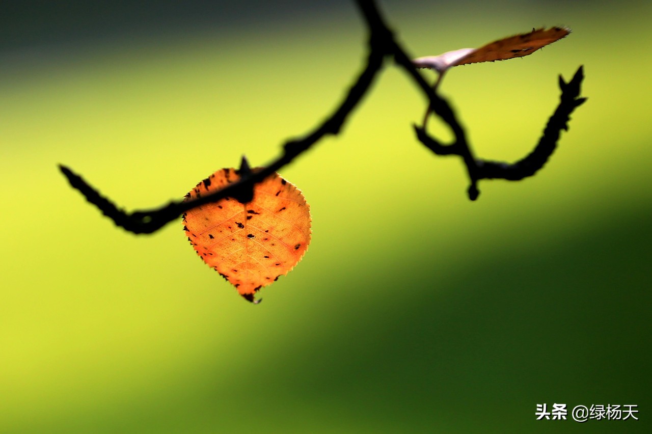 与秋风寄信,与秋风说心事