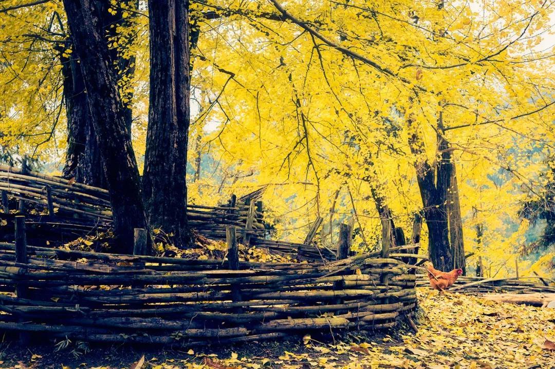 超适合一个人的15个国内外旅行地,国内适合一个人旅行的景点有哪些