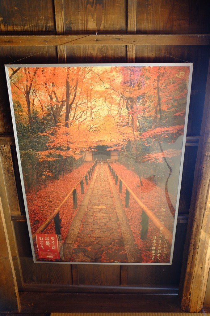 京都赏枫2022,京都赏枫必去景点有哪些好玩的