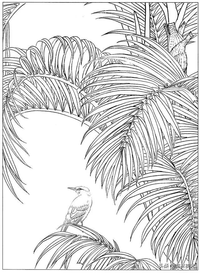 现代国画工笔花鸟白描及完整版,路雨年工笔白描花鸟团扇高清图片