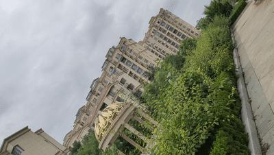 “跨界级”专业防抖，手机和微单都可用，普通人的视频“法宝”