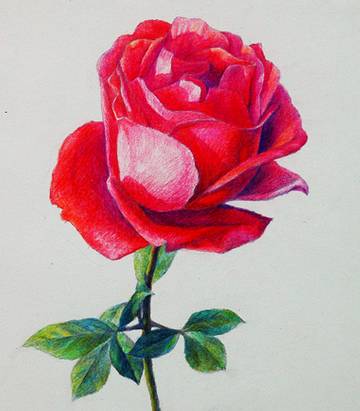 为什么学素描也要学速写,为什么要学素描简短回答