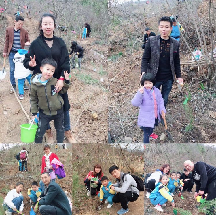 襄阳幼儿园智慧树,襄阳东方国际幼儿园直播