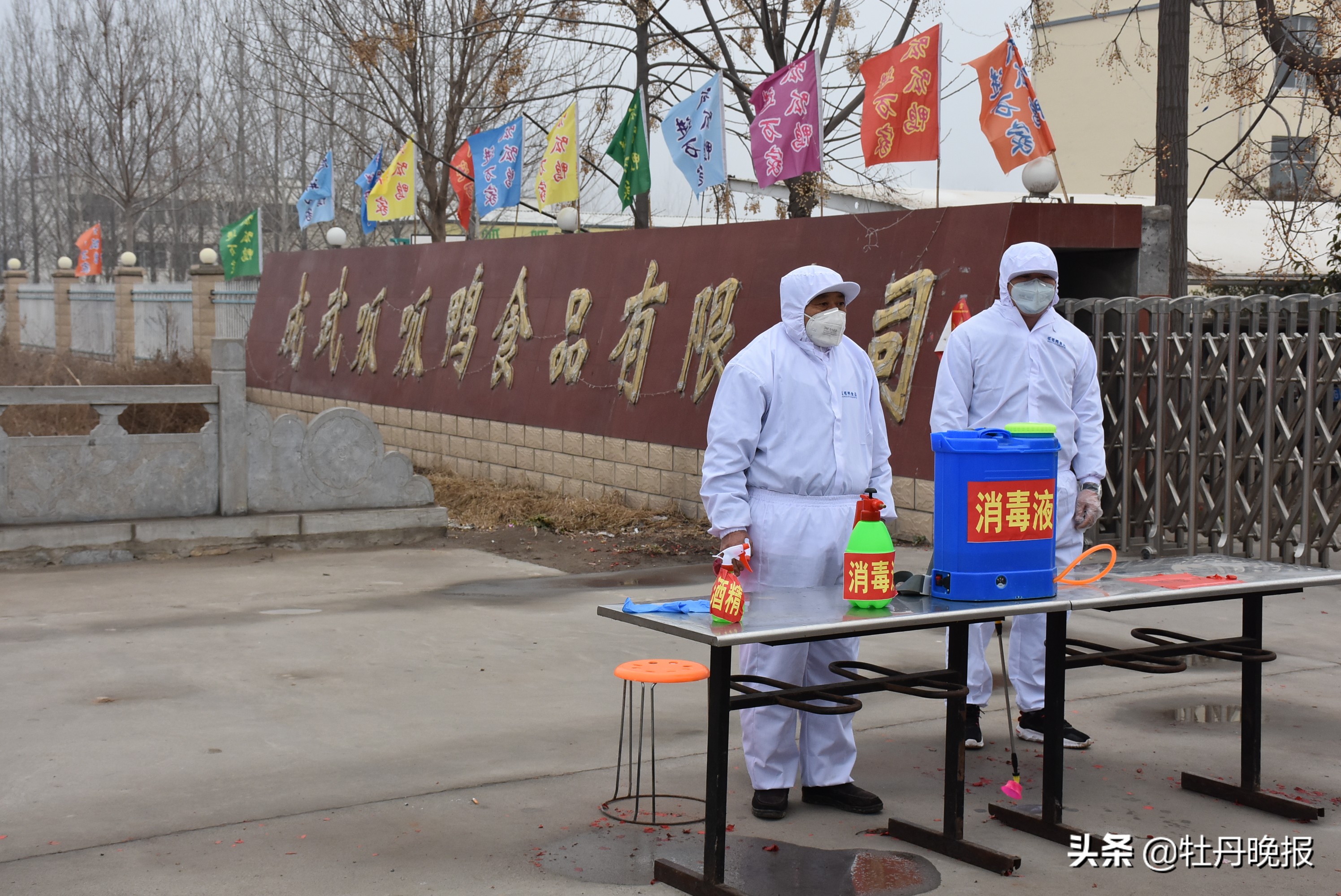 成武企业呱呱鸭抗疫复工顶呱呱