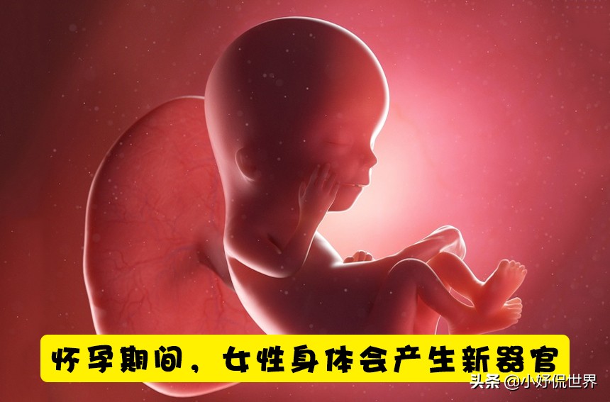 有关怀孕分娩的知识,怀孕时要知道的一些新生儿常识