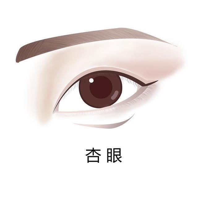 瑞凤眼最漂亮的眼型,各种眼型瑞凤眼