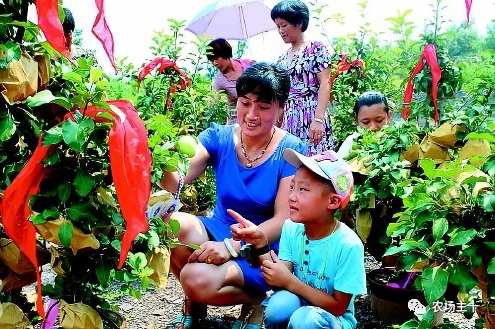 一千元小本创业农村,100个农村创业项目赚钱