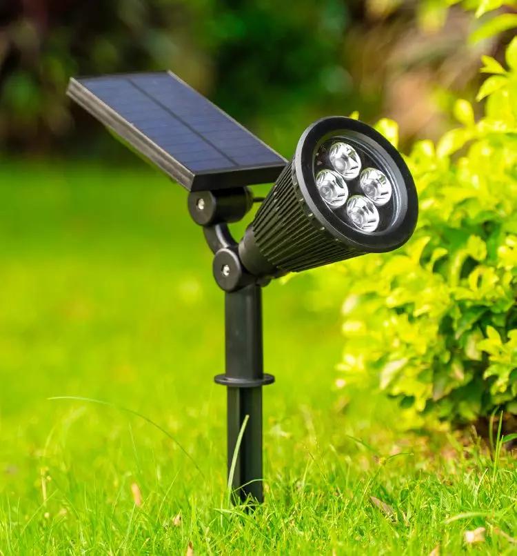 如果我有个院子我要种满花,如果我有个院子你猜我要种什么