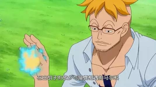 海贼王马尔科有不死能力吗,海贼王白胡子马尔科