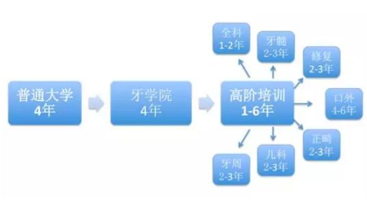 美国牙科医生现状,美国牙医有前途吗