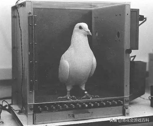 论《魔兽世界》大秘境一种可能的改良方向