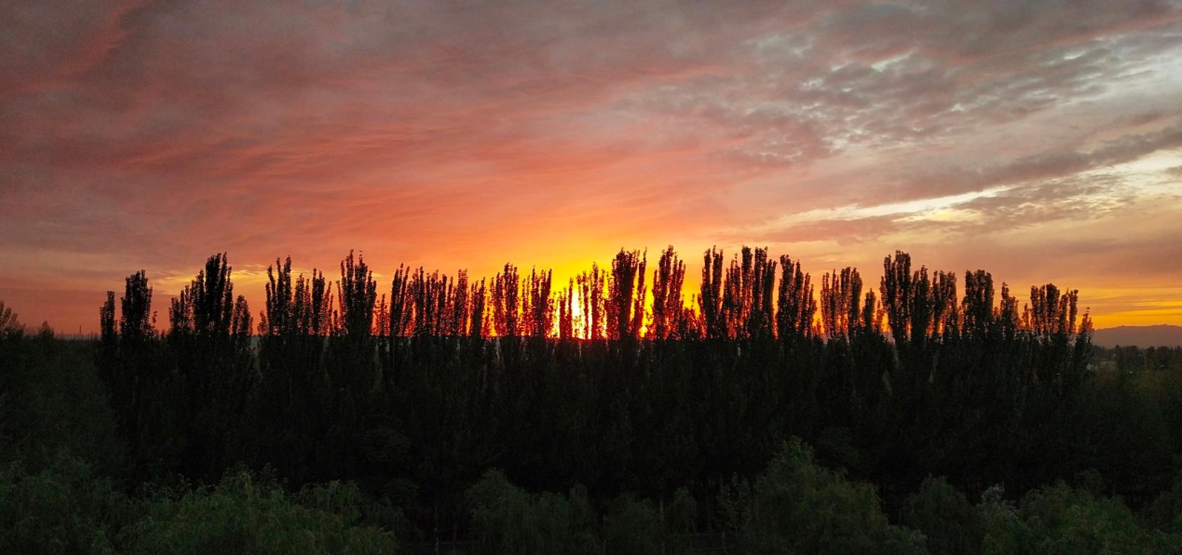 北京豪宅的“HZS滙张思”现象