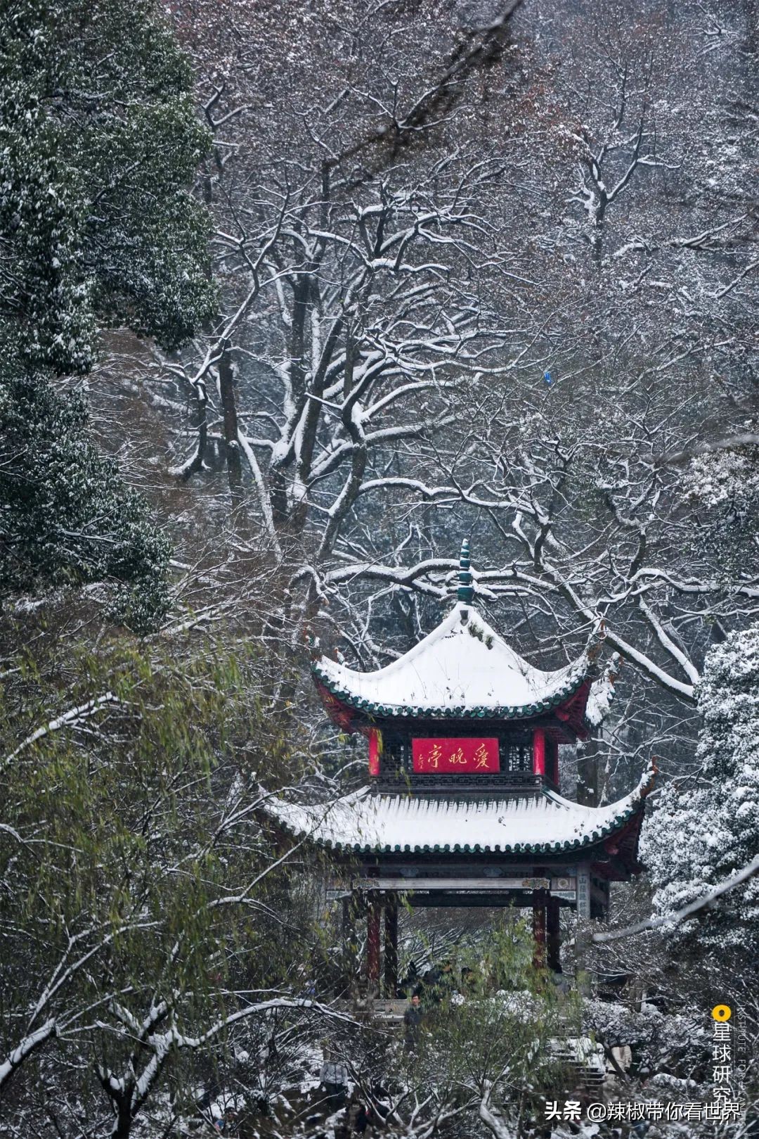 从西到东:长沙——解密星城它绝对不会让你失望