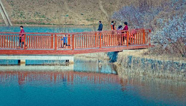 阎良最美石川河,阎良石川河秋日美景
