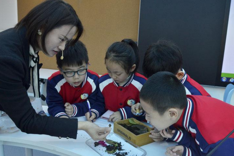 西安投资20亿的学校,西安投资300亿元建设学校