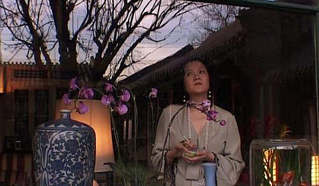 洪晃搞艺术的人,洪晃谈自己的利己主义