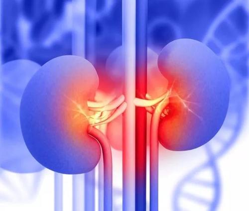 什么是尿毒症早期有哪些症状,尿毒症有哪些症状如何预防尿毒症